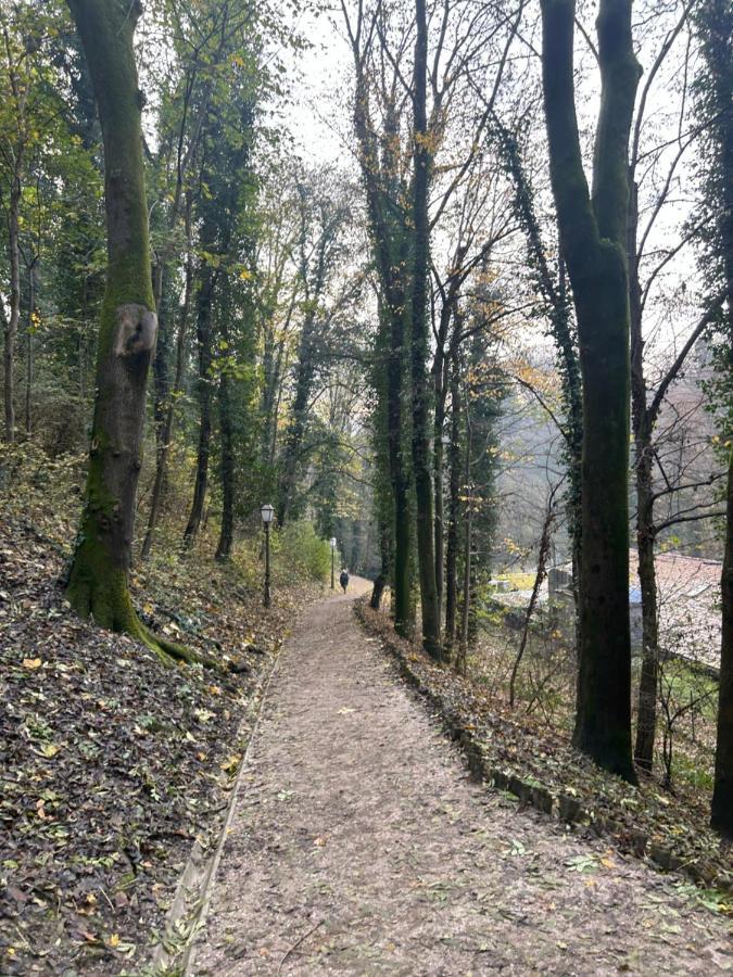 זאגרב Historic Center-Lovely Nature מראה חיצוני תמונה