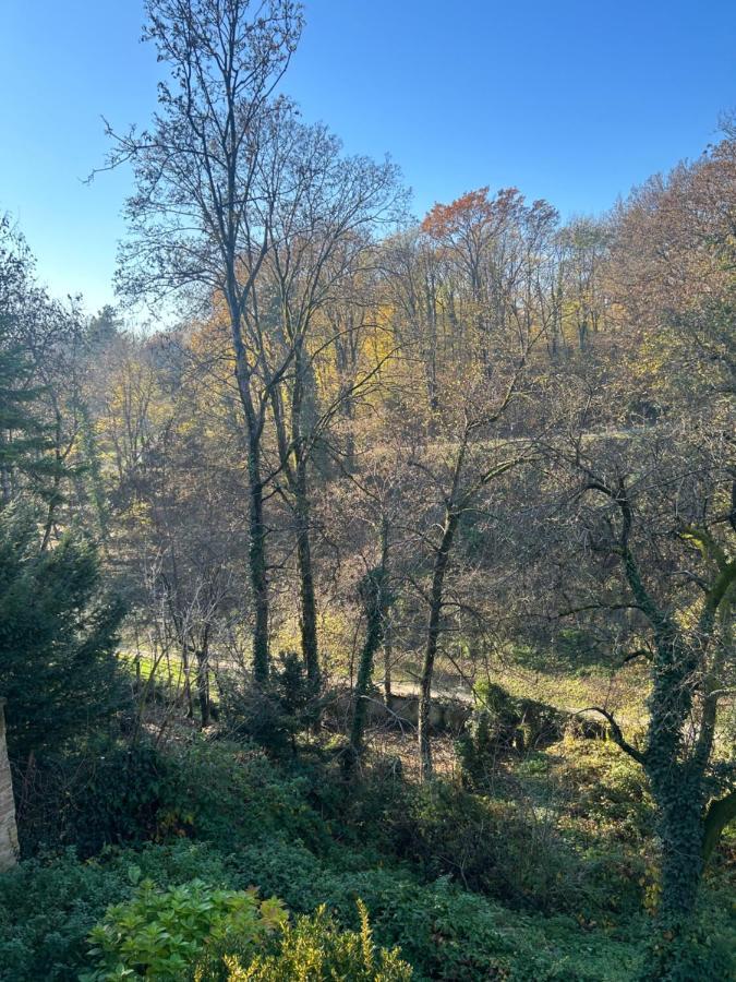 זאגרב Historic Center-Lovely Nature מראה חיצוני תמונה